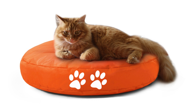 Fritz-Sitzsack Cat Bed orange